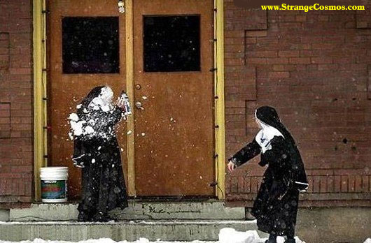 Why I live in California